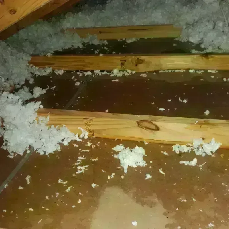 Attic Water Damage in Bexar County, TX