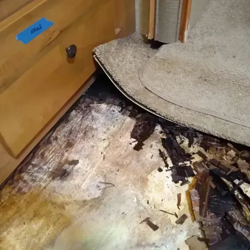 Wood Floor Water Damage in Bexar County, TX